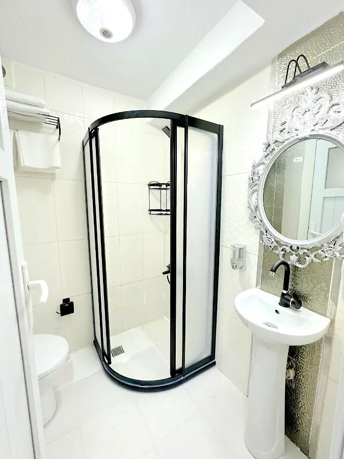 ***  Menesa Hotel Стамбул Турция